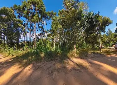 Terreno de 2700 m² a Venda em Monte Verde -18