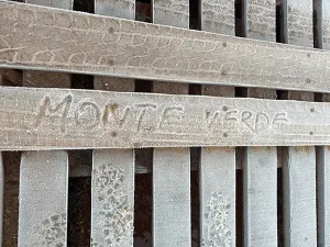 Festival-de-inverno-de-monte-verde-2025