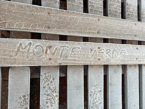 Festival-de-inverno-de-monte-verde-2025